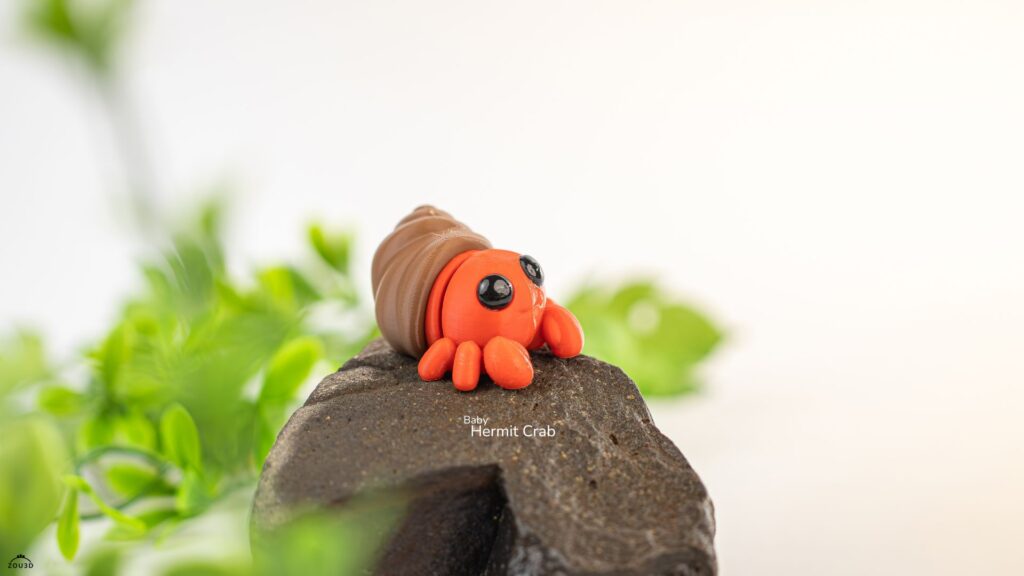 Baby Hermit Crab3 1024x576