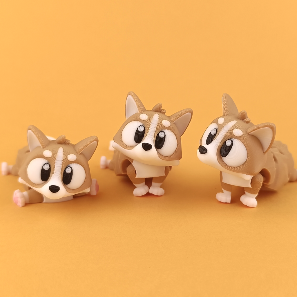 Corgi 1024x1024